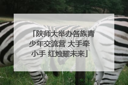 陕师大举办各族青少年交流营 大手牵小手 红烛耀未来