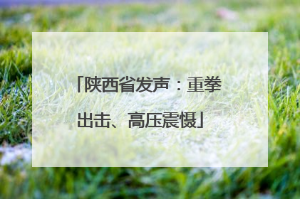 陕西省发声：重拳出击、高压震慑