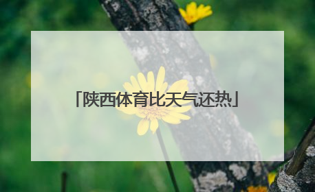 陕西体育比天气还热