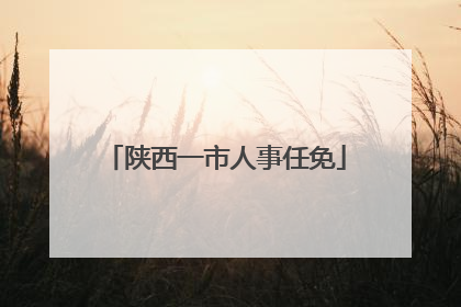陕西一市人事任免