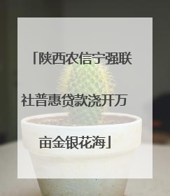 陕西农信宁强联社普惠贷款浇开万亩金银花海
