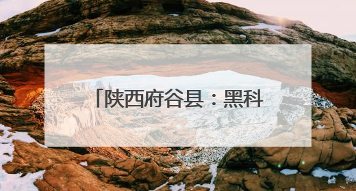 陕西府谷县：黑科技“水利全开” 智慧脑“精准防灾”