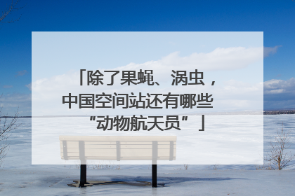 除了果蝇、涡虫，中国空间站还有哪些“动物航天员”