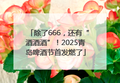 除了666，还有“酒酒酒”！2025青岛啤酒节首发燃了