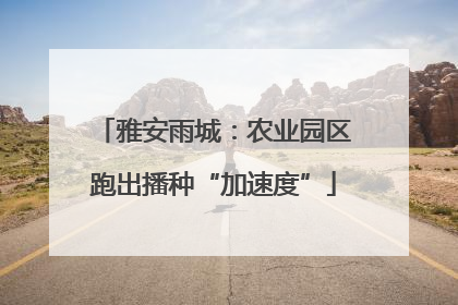 雅安雨城：农业园区跑出播种“加速度”