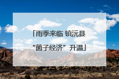雨季来临 镇沅县“菌子经济”升温