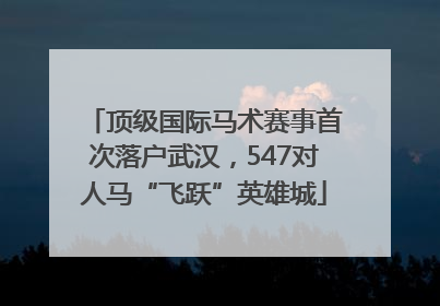 顶级国际马术赛事首次落户武汉，547对人马“飞跃”英雄城