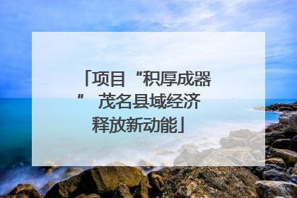 项目“积厚成器” 茂名县域经济释放新动能