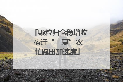 颗粒归仓稳增收 宿迁“三夏”农忙跑出加速度