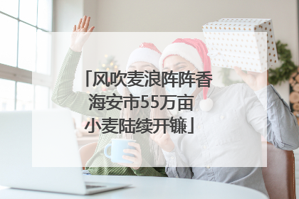 风吹麦浪阵阵香 海安市55万亩小麦陆续开镰