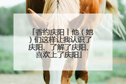 香约庆阳丨他（她）们这样让我认识了庆阳、了解了庆阳、喜欢上了庆阳