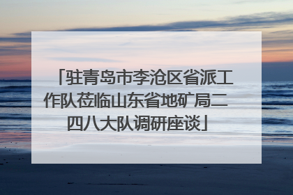 驻青岛市李沧区省派工作队莅临山东省地矿局二四八大队调研座谈