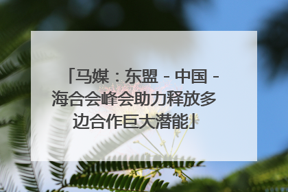 马媒：东盟－中国－海合会峰会助力释放多边合作巨大潜能