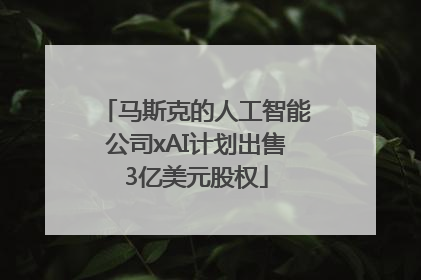 马斯克的人工智能公司xAI计划出售3亿美元股权