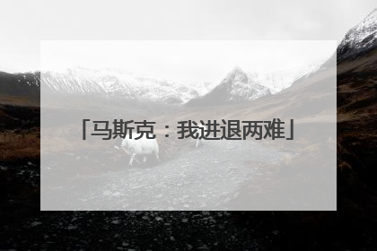 马斯克：我进退两难