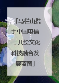 马栏山携手中国电信，共绘文化科技融合发展蓝图