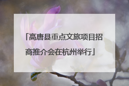高唐县重点文旅项目招商推介会在杭州举行