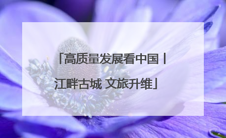 高质量发展看中国丨江畔古城 文旅升维