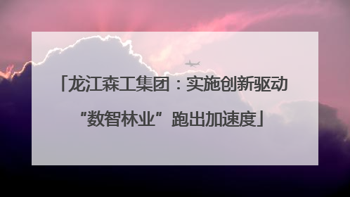 龙江森工集团：实施创新驱动 “数智林业”跑出加速度