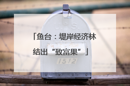 鱼台：堤岸经济林结出“致富果”
