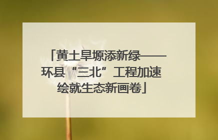 黄土旱塬添新绿——环县“三北”工程加速绘就生态新画卷