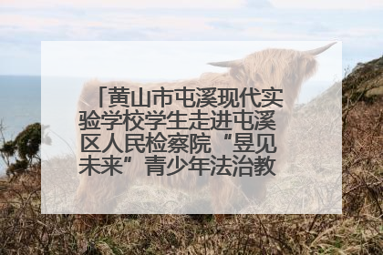 黄山市屯溪现代实验学校学生走进屯溪区人民检察院“昱见未来”青少年法治教育宣传基地