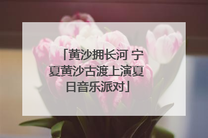 黄沙拥长河 宁夏黄沙古渡上演夏日音乐派对
