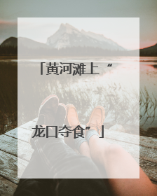 黄河滩上“龙口夺食”
