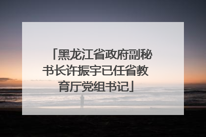 黑龙江省政府副秘书长许振宇已任省教育厅党组书记