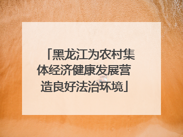 黑龙江为农村集体经济健康发展营造良好法治环境