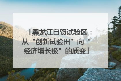黑龙江自贸试验区：从“创新试验田”向“经济增长极”的质变