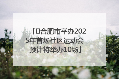 ﻿合肥市举办2025年首场社区运动会 预计将举办10场