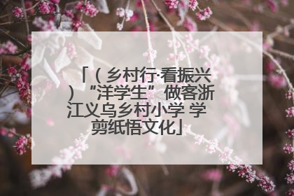 （乡村行·看振兴）“洋学生”做客浙江义乌乡村小学 学剪纸悟文化