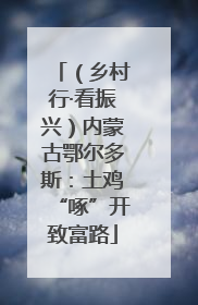 （乡村行·看振兴）内蒙古鄂尔多斯：土鸡“啄”开致富路
