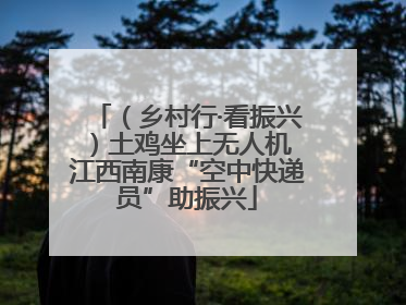 （乡村行·看振兴）土鸡坐上无人机 江西南康“空中快递员”助振兴