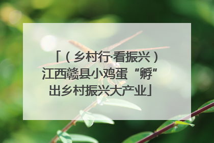 （乡村行·看振兴）江西赣县小鸡蛋“孵”出乡村振兴大产业