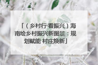 （乡村行·看振兴）海南绘乡村振兴新图景：规划赋能 村庄焕新