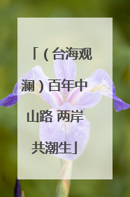 （台海观澜）百年中山路 两岸共潮生