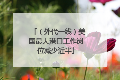 （外代一线）美国最大港口工作岗位减少近半