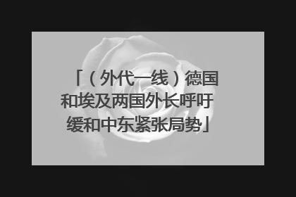 （外代一线）德国和埃及两国外长呼吁缓和中东紧张局势