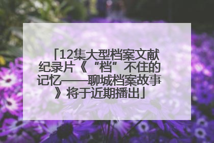 12集大型档案文献纪录片《“档”不住的记忆——聊城档案故事》将于近期播出