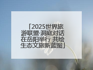 2025世界旅游联盟·洞庭对话在岳阳举行 共绘生态文旅新蓝图