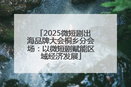 2025微短剧出海品牌大会桐乡分会场：以微短剧赋能区域经济发展