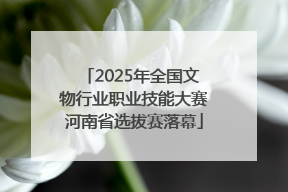 2025年全国文物行业职业技能大赛河南省选拔赛落幕