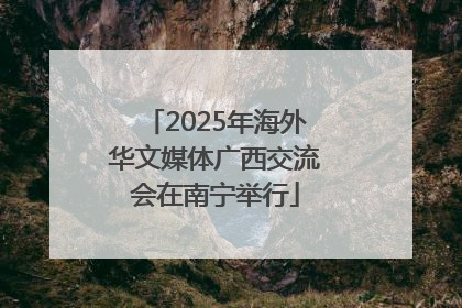 2025年海外华文媒体广西交流会在南宁举行