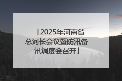 2025年河南省总河长会议暨防汛备汛调度会召开
