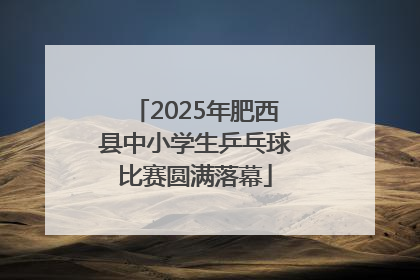 2025年肥西县中小学生乒乓球比赛圆满落幕