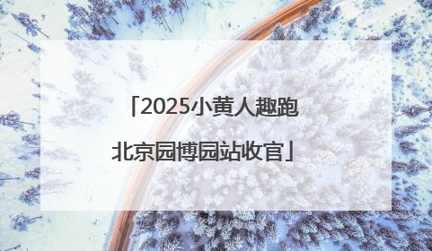 2025小黄人趣跑北京园博园站收官