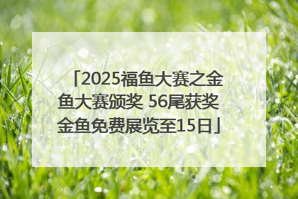 2025福鱼大赛之金鱼大赛颁奖 56尾获奖金鱼免费展览至15日