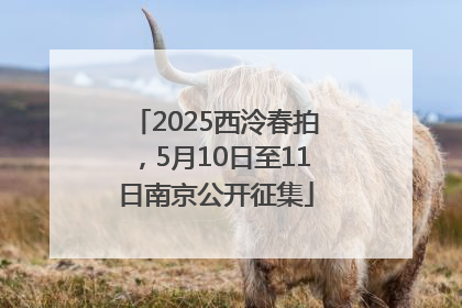 2025西泠春拍，5月10日至11日南京公开征集